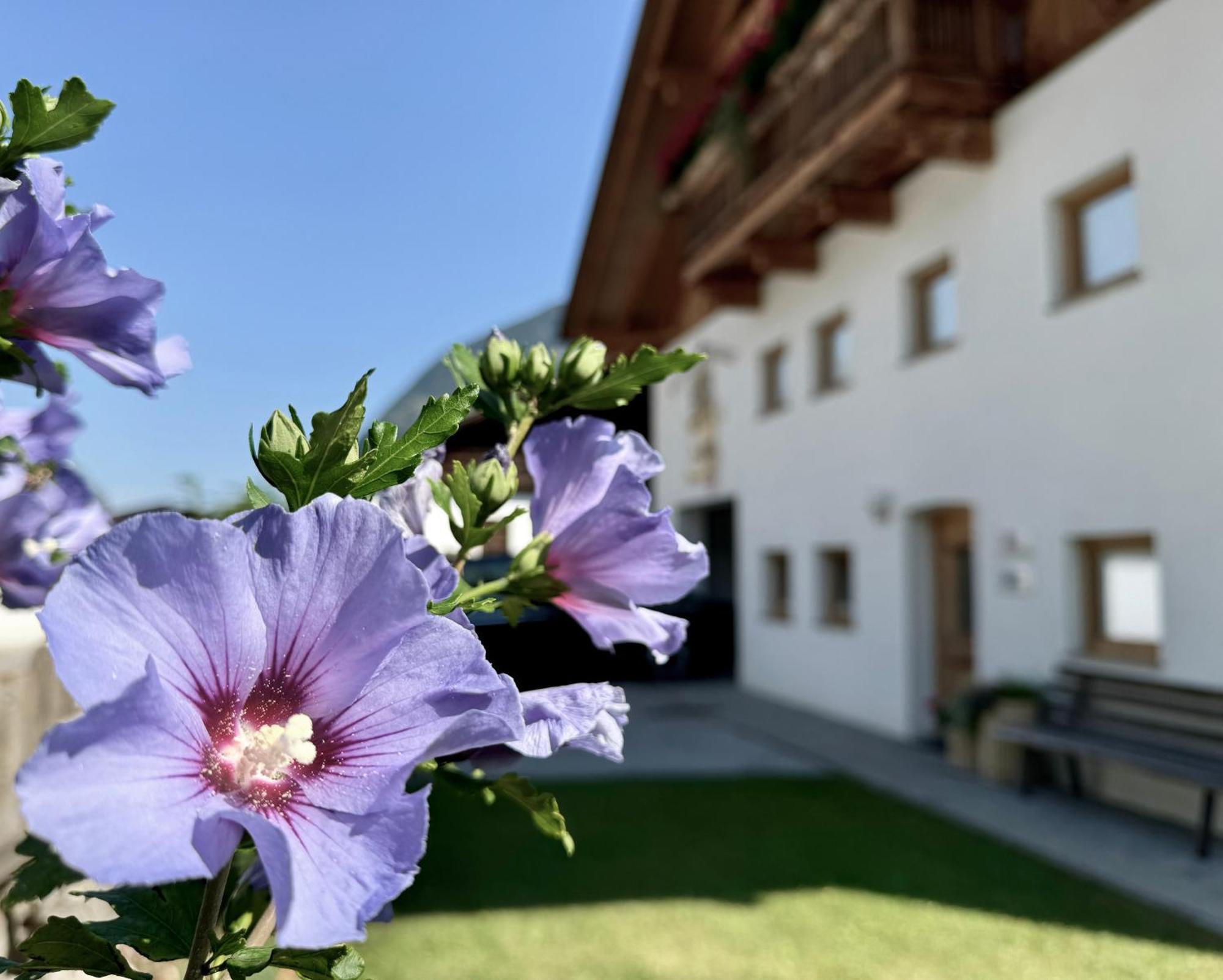 Landhaus Waldhart Umhausen Exterior foto